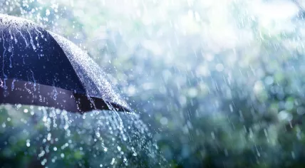 Rainy weather