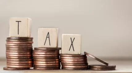 Tax return in the Netherlands.