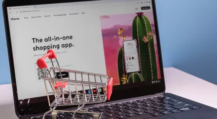 Klarna, a buy-now-pay-later service