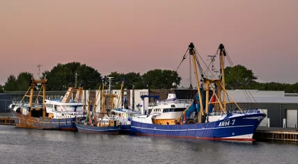 Trawlers moored in Vlissingen