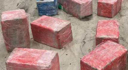Cocaine valued at 50 million euros found in a banana shipment at the Vlissingen Port. 18 April 2023