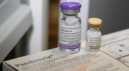 Pandemrix, a pandemic vaccine produced by GlaxoSmithKline and approved for use in Europe during the 2009 swine flu pandemic. 5 November 2009