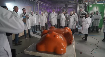The world's largest gummy bear was revealed on Thursday by candy manufacturer Tanis in Oosterhout