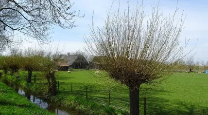 A farm in Ommeren, Gelderland