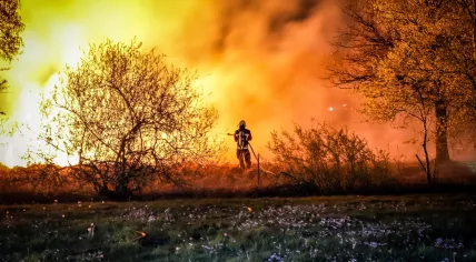 Wildfire in the Paaskamp nature reserve near Assen, 5 May 2023