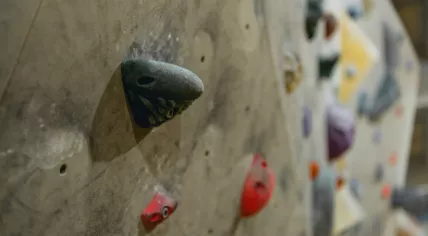 Grips on an indoor climbing wall