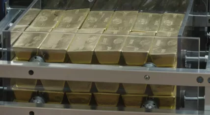 Gold being prepared to be moved from the Dutch central bank (DNB) in Amsterdam to a temporary location in Haarlem. October 2020