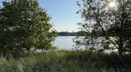 Flourishing grass in the Flevopark in Amsterdam-Oost, 22 May 2023