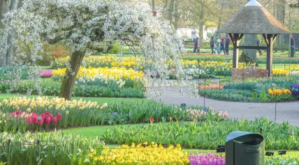 Visitors touring the Keukenhof. 5 April 2023