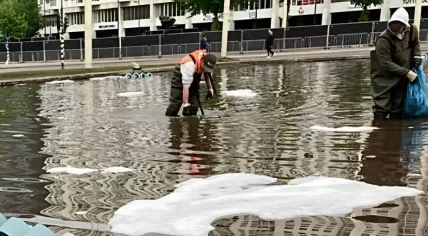 Stadsbeheer Rotterdam employees cleaning up the Hofpleinfontein in Rotterdam, May 2023