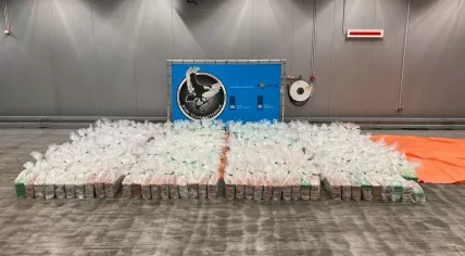 3,587 kilograms of cocaine found in a banana container at the port of Rotterdam, 26 June 2023