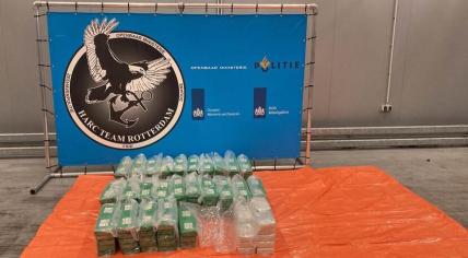 A total of 263 kg of cocaine sent in a banana shipment from the Dominican Republic which was found in Rotterdam. 29 June 2023