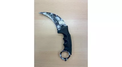 A carambit-style combat knife was seized from a boy, 9, who threatened another boy, 6, in The Hague. 28 June 2023