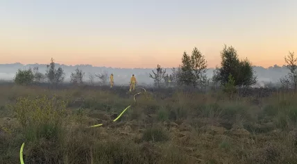 Firefighters spent hours extinguishing a wildfire that covered half a hectare in the Wierdense Veld nature reserve near Heerdinksschotweg in Wierden near Hoge Hexel, Overijssel. 12 August 2022