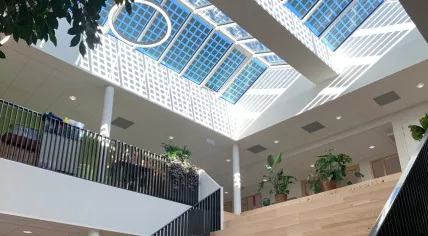Fridtjof Nansenschool