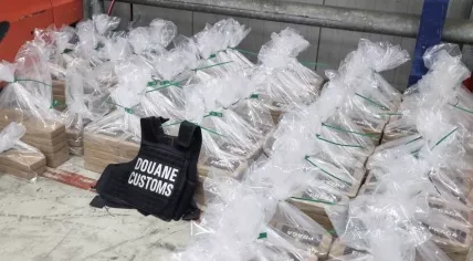 600 kilograms of cocaine found in a container of bananas at the port of Vlissingen, 30 May 2023