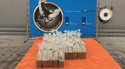 449 kilograms of cocaine seized by Customs at the port of Vlissingen.