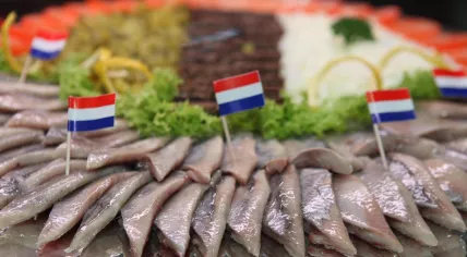 Traditionally prepared Dutch herring. 