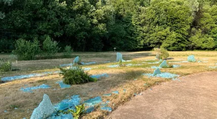 Vandals smashed the memorial to people who died of cancer in the Koningin Wilhelminabos in Dronten, 19 June 2023
