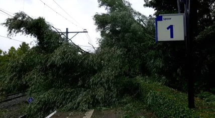 Access to Platform 1 at the Purmerend train station was completely blocked by a tree during Storm Poly. 5 July 2023