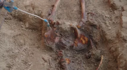Archaeologists found three skeletons during archaeological research for the Binnenhof renovations in The Hague, 12 July 2024
