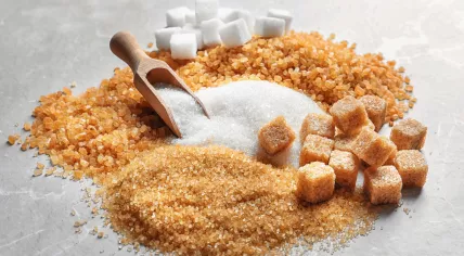 Sugar