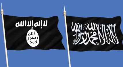 ISIS flags