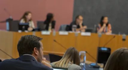 Amsterdam City Council