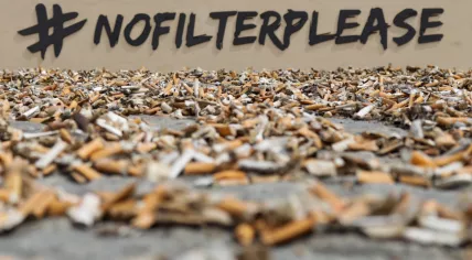 Cigarette butts collected during clean-up action, 2023