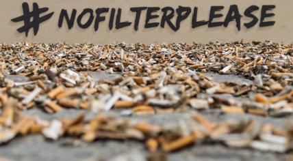 Cigarette butts collected during clean-up action, 2023