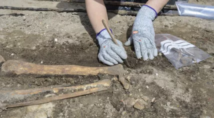 Archaeologists found three skeletons during archaeological research for the Binnenhof renovations in The Hague, 12 July 2024