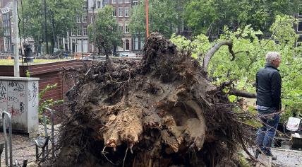 Trees knocked over in Amsterdam's city center during Storm Poly. 5 July 2023