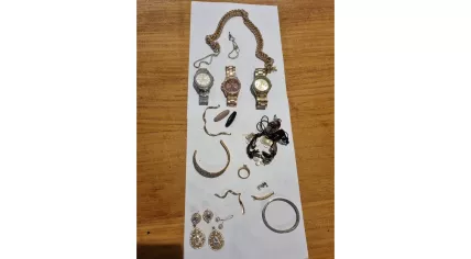 A 6-year-old boy found a bag of stolen jewelry in a ditch in Steinenburgpark in Gouda, August 2023