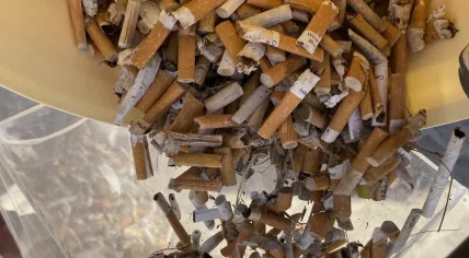 Cigarette butts picked up on Dutch beaches during the Boskalis Beach Cleanup Tour, August 2023