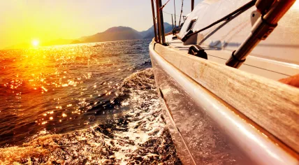 Yacht Sailing against sunset