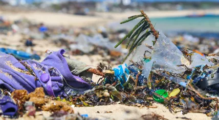 Plastic pollution on a beach