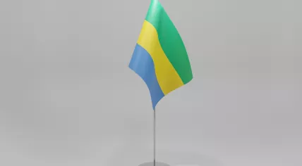 Gabon national flag
