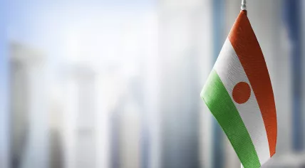A small flag of Niger. 