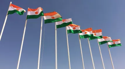 Nine flags of Niger, Zinder, January 2019.