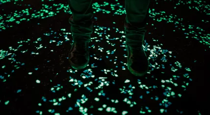 The Van Gogh Path in 2014, an illuminated bike path between Eindhoven and Nuenen in Noord-Brabant, was conceived by Studio Roosegaarde and constructed by Heijmans N.V.