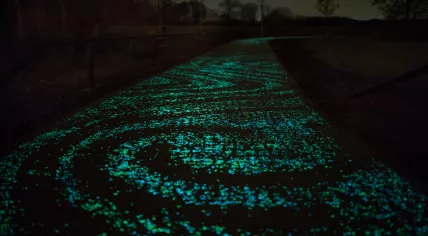 The Van Gogh Path in 2014, an illuminated bike path between Eindhoven and Nuenen in Noord-Brabant, was conceived by Studio Roosegaarde and constructed by Heijmans N.V.