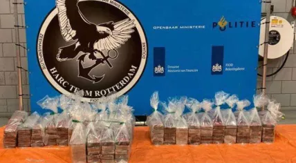 Drug bust at Vlissingen port.