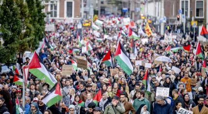 Thousands gather in The Hague to protest for a cease fire in the Gaza Strip, 29 October 2023