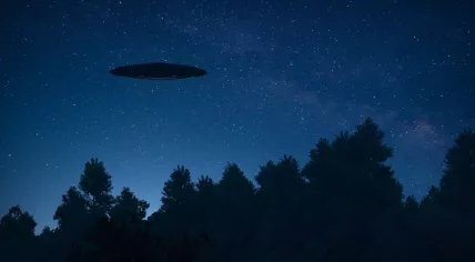 Ufo hanging over forest.