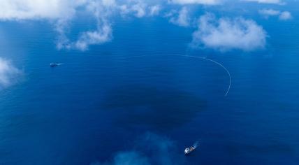 System 03 deployed for the first time into the Great Pacific Garbage Patch, August 2023. 