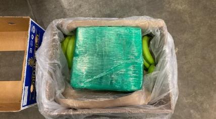 Over 7,700 kilograms of cocaine found in a shipment of bananas. The drugs arrived in Antwerp and were found in Bleiswijk. 16 October 2023