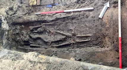 Skeleton from the early Middle Ages found on Grote Markt in Groningen, October 2023