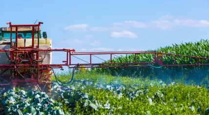 Crop dusting - Tractor spraying weed killer on a field in summer