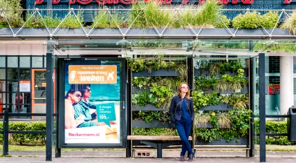 A bus stop in Eindhoven showing an advertisement for a travel agency