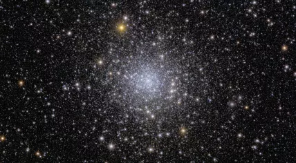 Euclid’s view of globular cluster NGC 6397. Image published on November 7, 2023.